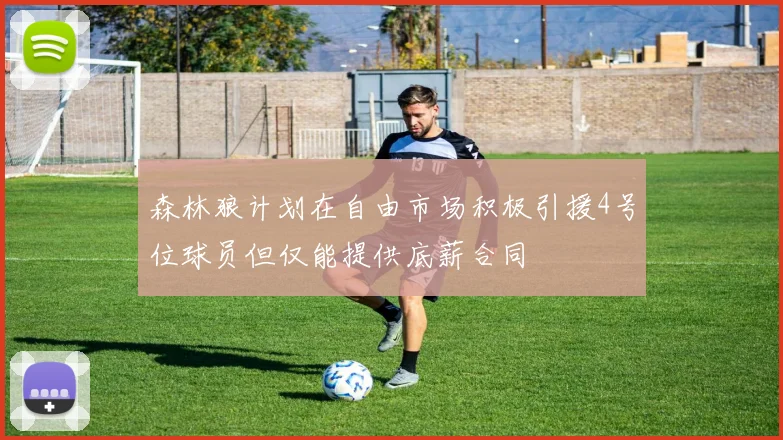 森林狼计划在自由市场积极引援4号位球员但仅能提供底薪合同