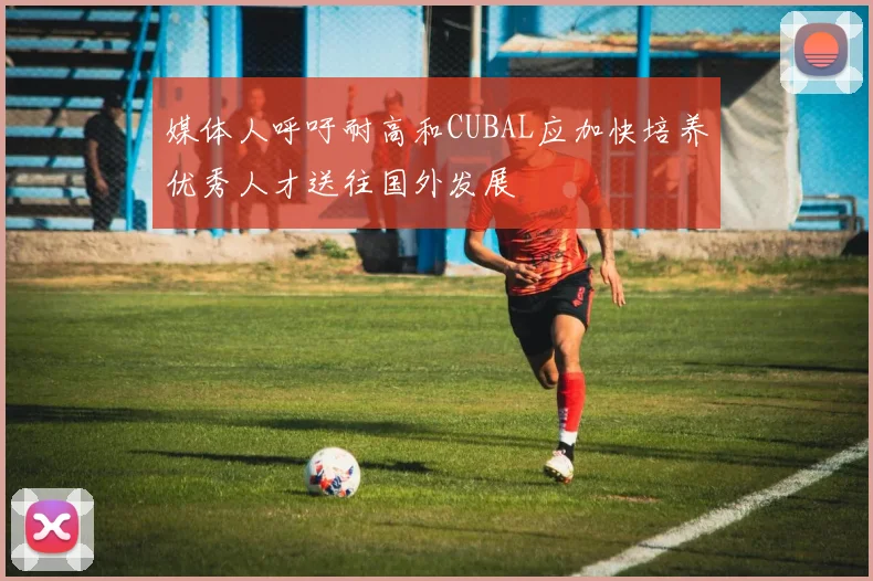 媒体人呼吁耐高和CUBAL应加快培养优秀人才送往国外发展