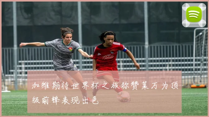 加维期待世界杯之旅称赞莱万为顶级前锋表现出色